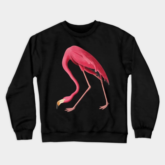 American Pink Flamingo Colorful Flamingo Bird Vintage Illustration Crewneck Sweatshirt by TV Dinners